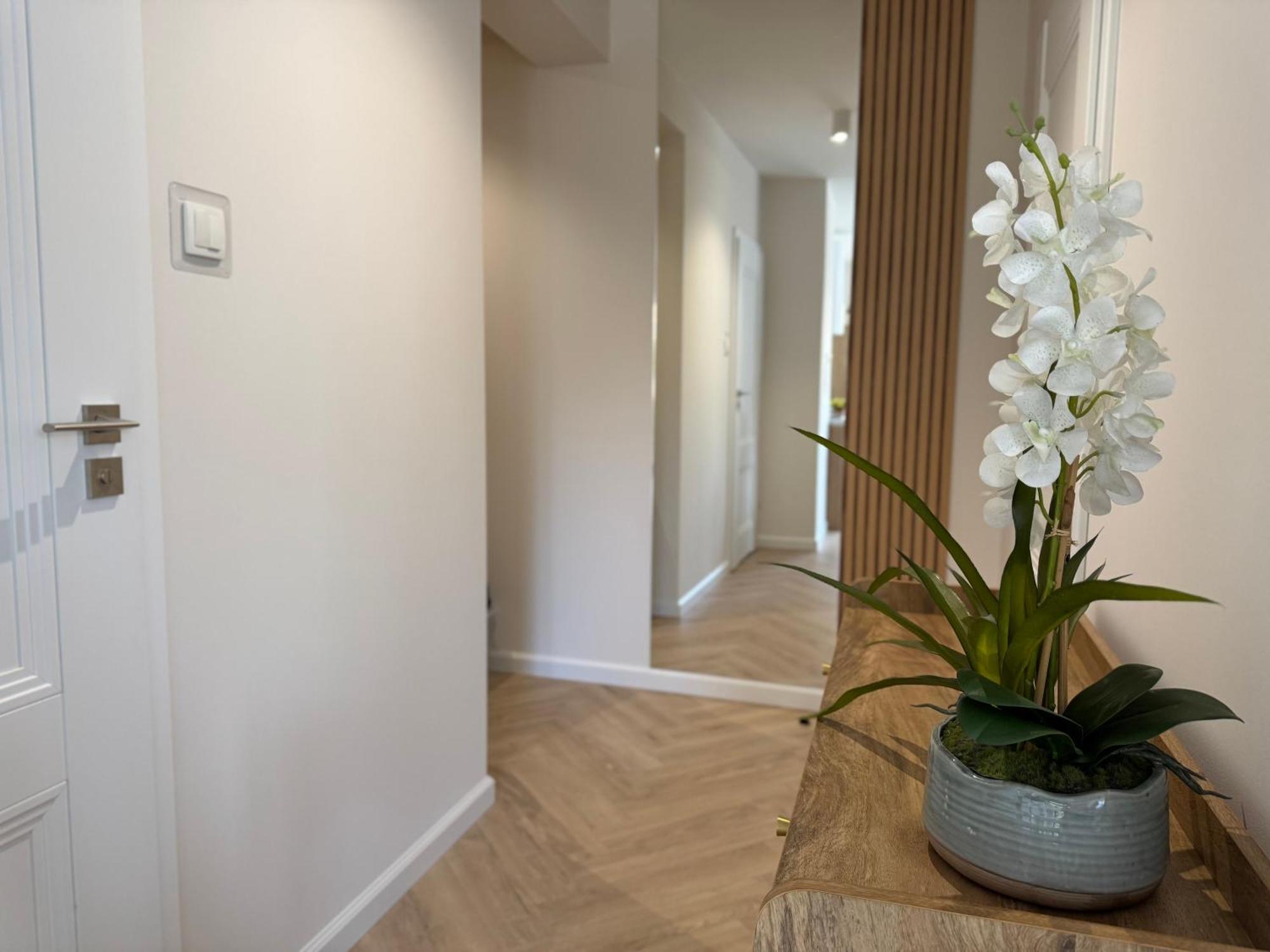 Apartamenty Baltica -Zielone Tarasy كولوبرزيغ المظهر الخارجي الصورة